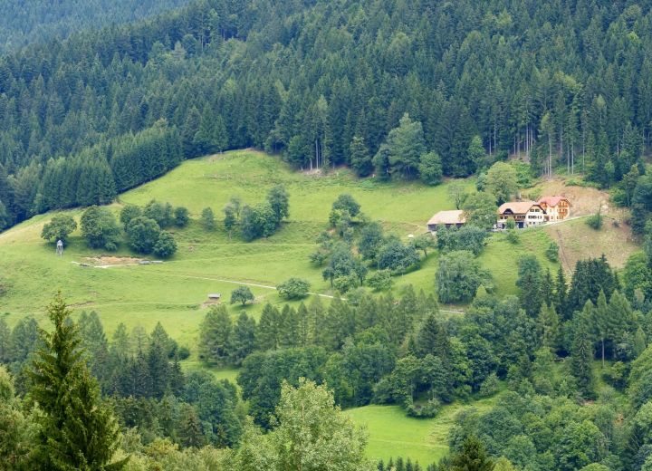 ARBAJTER - KOTNIK (»FARMA  JELENOV«)