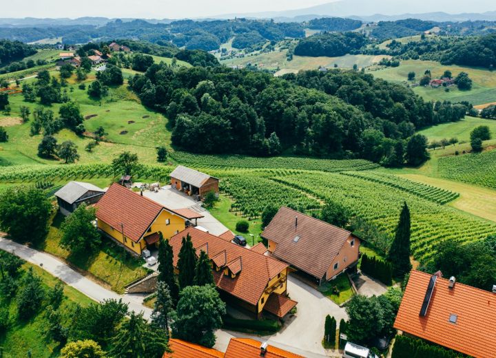 Vina in turizem Bračko