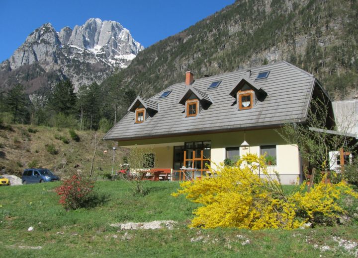 ČERNUTA
