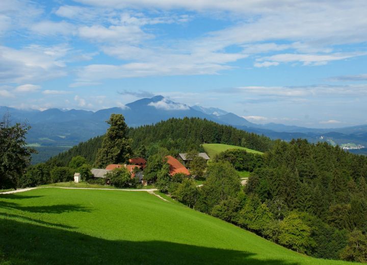 LEŠNIK