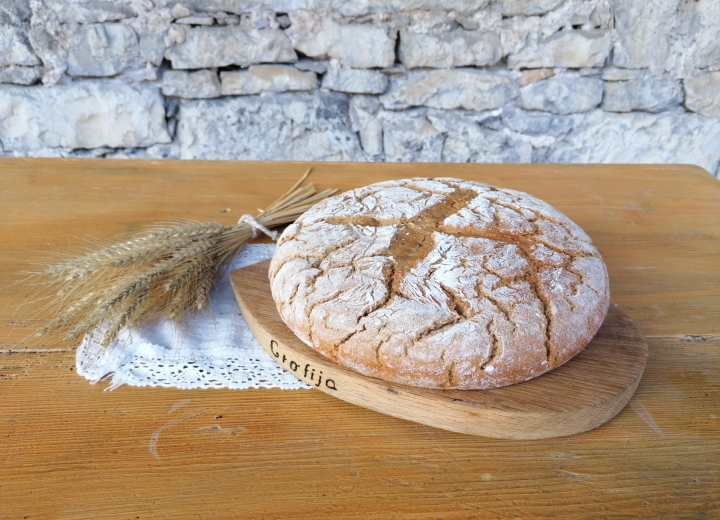 DOMAČIJA GROFIJA