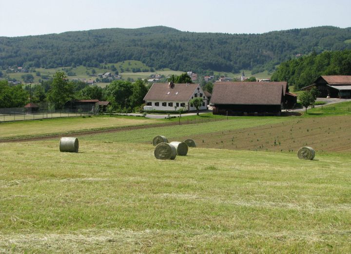 DOMAČIJA GROFIJA