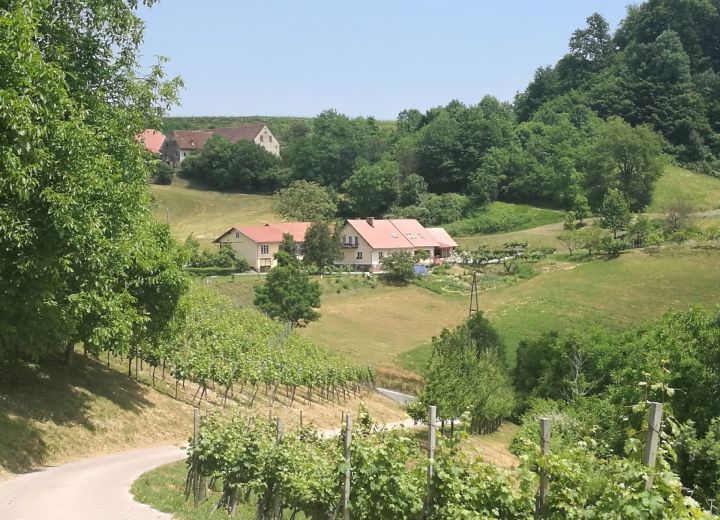 Jamšek
