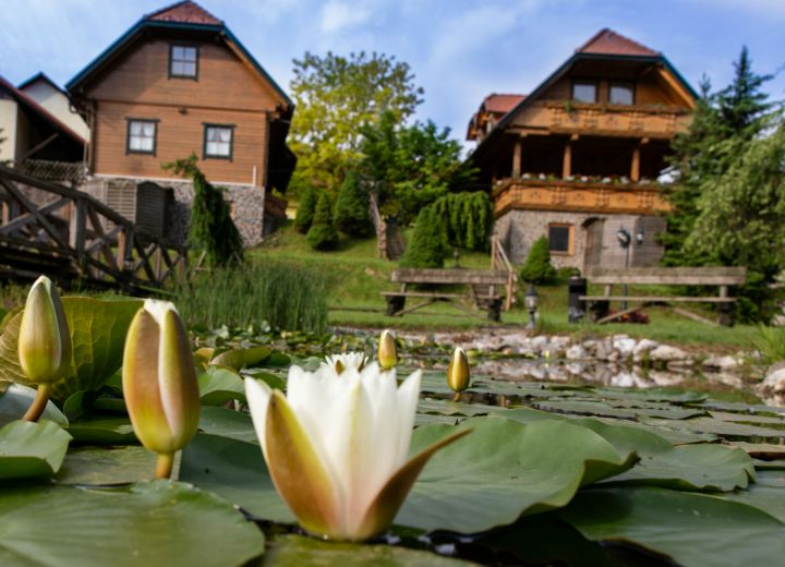 KOROŠEC