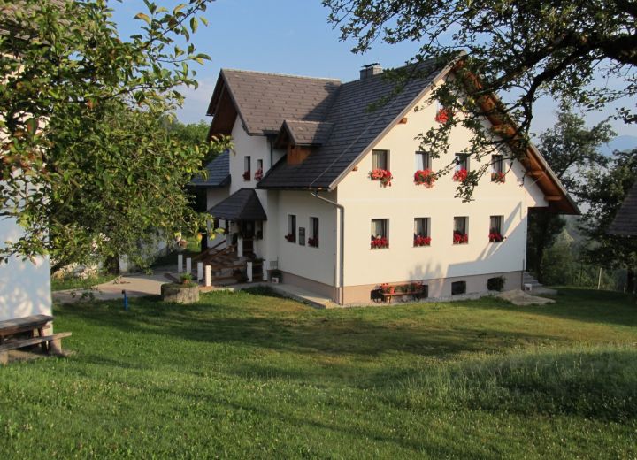 LJUBICA