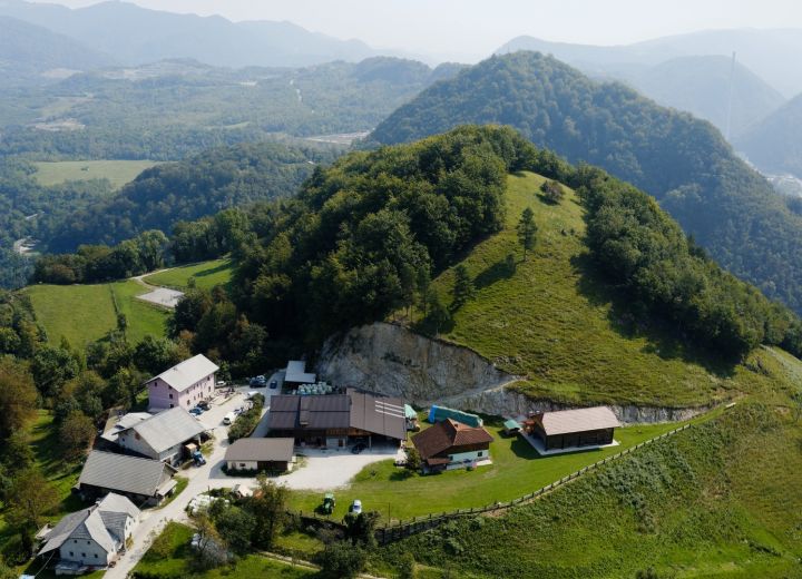 ZELENA TRAVA