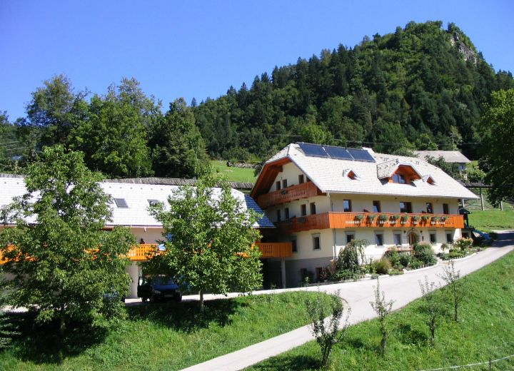 MULEJ