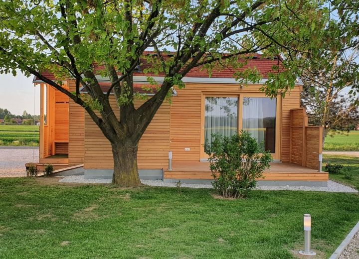NA KONCU VASI