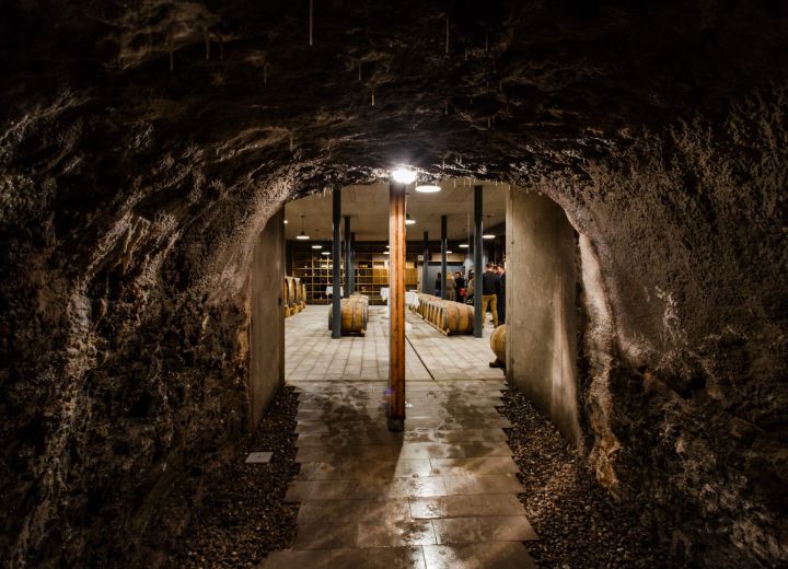 Guerila wines
