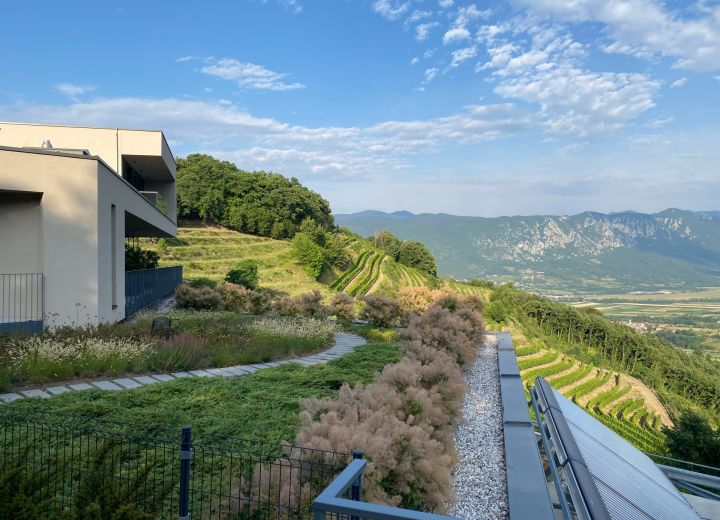 Guerila wines