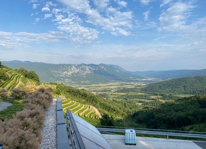 Guerila wines