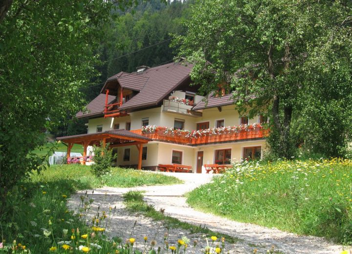 PLAZNIK