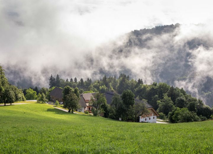 PODMLAČAN