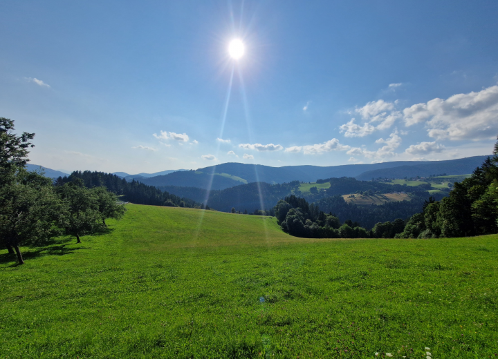 RAMŠAK (Rogla)