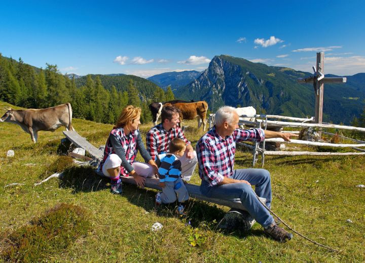 DOMAČIJA METUL