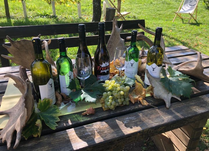 Vinotoč Pri razglednem stolpu
