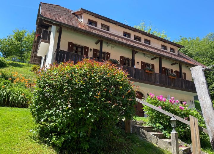 DOMAČIJA ŠERUGA