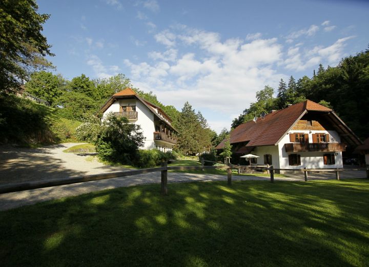 DOMAČIJA ŠERUGA
