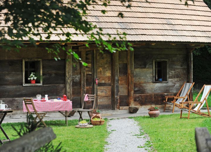 DOMAČIJA ŠERUGA