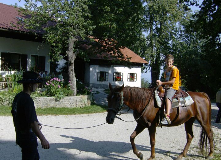 ŠINKOVC