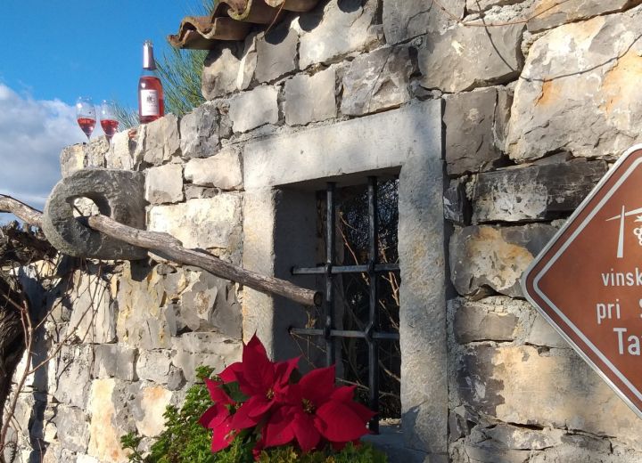 Vinska klet Tavčar- Pri Starčih