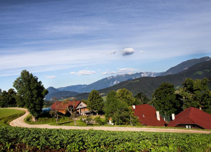 VISOČNIK