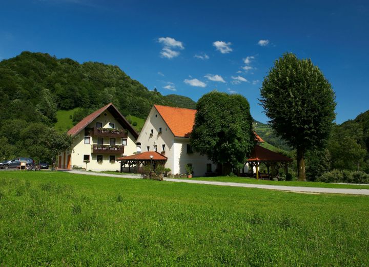 ŽELINC