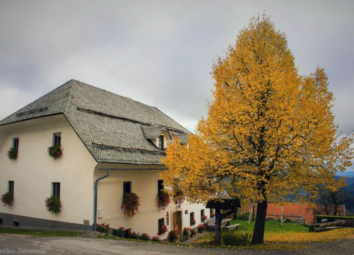 ŽGAJNAR