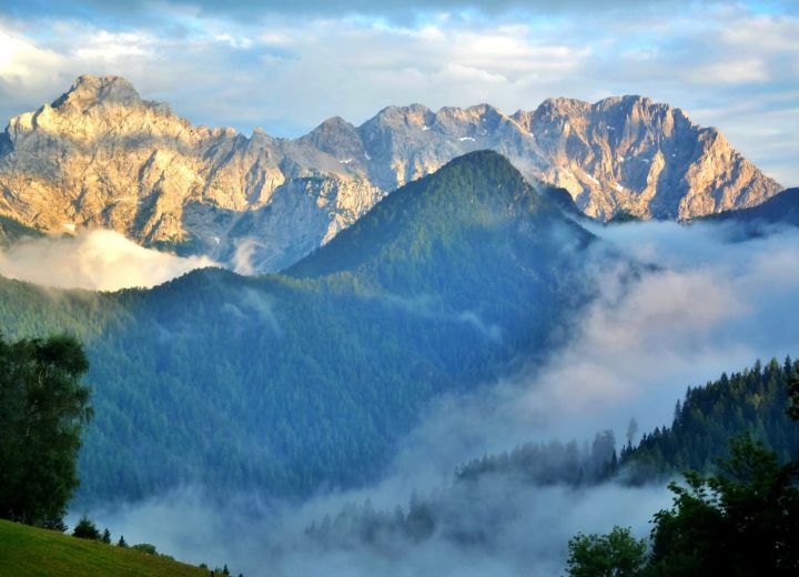 ŽIBOVT