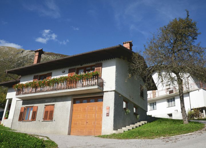 ŽVANČ