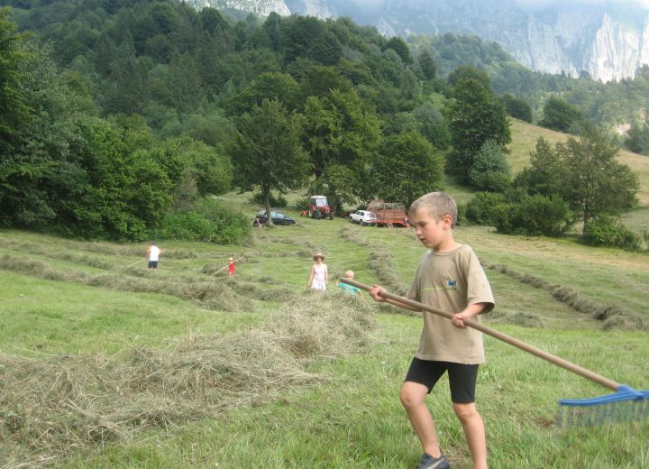 ŽVANČ
