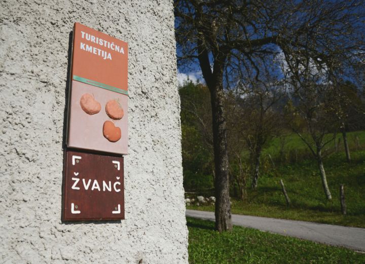 ŽVANČ